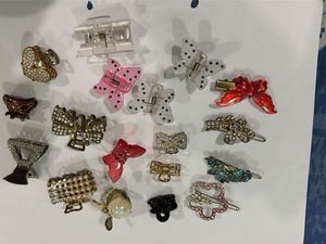 Assorted Hair Clips &amp; Barrettes