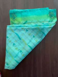 Sea Green Floral Saree