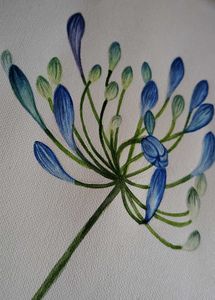 Floral Art Painting