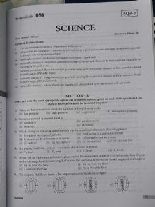 MTG CBSE Class 10 Sample Papers (Science &amp; Math)