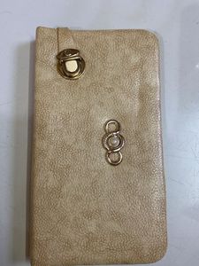 Vintage Beige Clutch