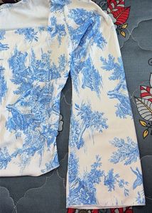 Blue and White Scenic Print Long Sleeve Top