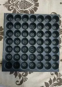 2 Seed Starter Tray