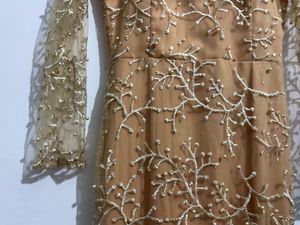 Elegant Ethnic Gown