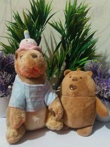 Cute Plush Toys Set of 2