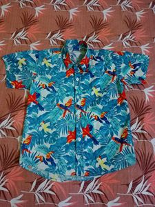 Imported Party Mood Goa Shirt For Kids Size 10
