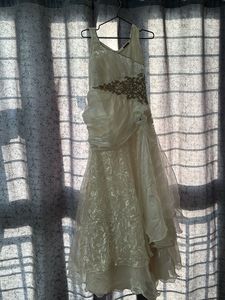 Elegant Ethnic Gown