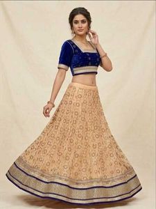 Elegant Royal Blue Velvet Blouse &amp; Net Lehenga
