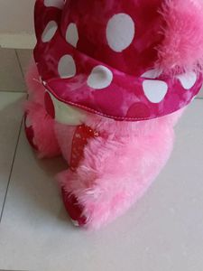 Soft Pink Teddy🧸