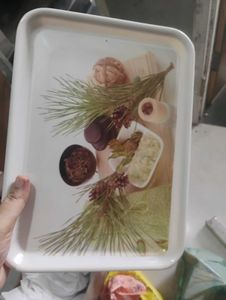 Set of 2 Decorative Trays