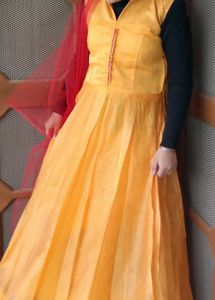 Elegant Yellow Anarkali gown