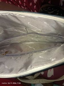 Statement Handbag