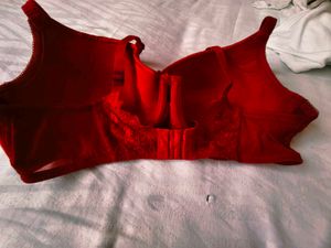 Very Beautiful Paded Bra With Penty