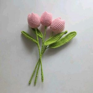 1 Tulip for 99 rupees only 🌷
