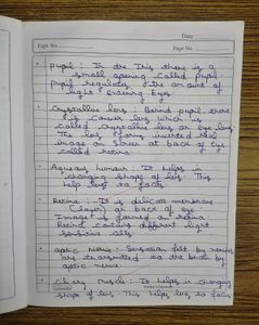 CBSE Class 10 Physics Handwritten Notes All Chaps