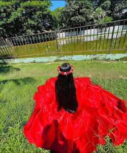 Elegant Red Ethnic Gown