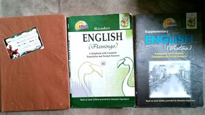 Class 12th English Flamingo, Vistas And Beehive