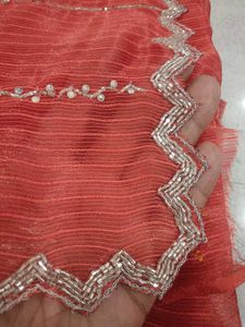 Stunning Coral Saree with Silver Embellishments