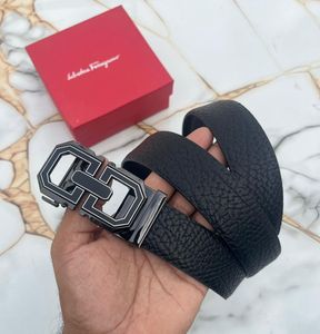Salvatore Ferragamo Black Belt