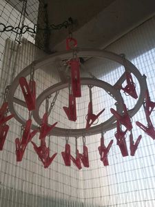 Hanging Clothesline with Clips