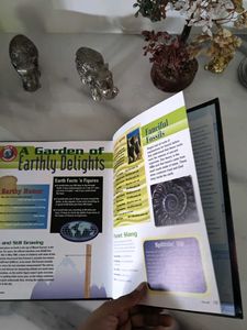 Young Discoverer Series: Universe Book