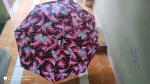 Double Color Umbrella (2 Combo Sets)