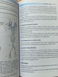 BD Chaurasia's Handbook of General Anatomy