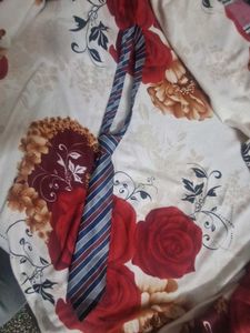 Striped Necktie for Men
