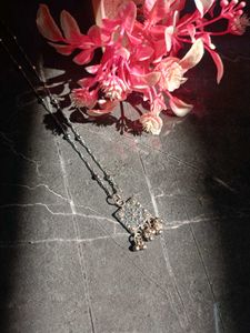 Silver Chain