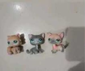 Littlest Pet Shop Cats