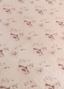 White Bedsheet.