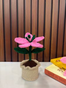 Handmade Crochet Lily Pot
