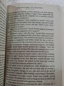 The Bastard of Istanbul