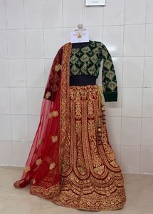 Embroidered Velvet Lehenga Choli Set