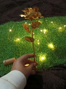 Golden Rose