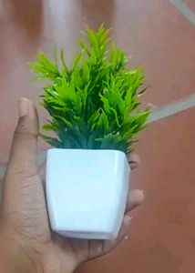 Pack Of 08 Artificial Plant Decor
