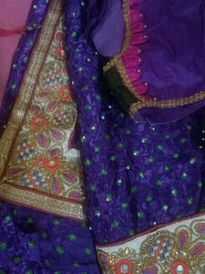 Exquisite Purple mirror work saree with designer b