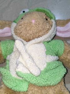 Build a Bear Rabbit with clothes