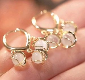Sparkling korean Earrings