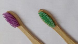 Bamboo Toothbrush (Pack Of 2)
