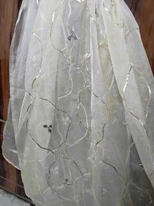 Elegant Embellished Dupatta