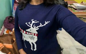 GAP Reindeer Holiday Sweater