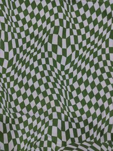 Green &amp; White Checkered Cropped Top