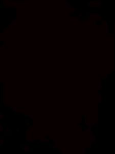 Test T5