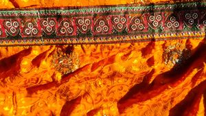 Exquisite Orange Saree Intricate Embellishmen