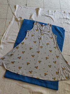 Striped Floral A-Line Dress
