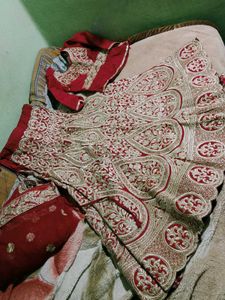 Red Bridal Lehenga with Gold Embroidery