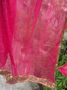 Vibrant Pink Dupatta with Golden Border