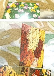 5 Beautiful Greeting Cards
