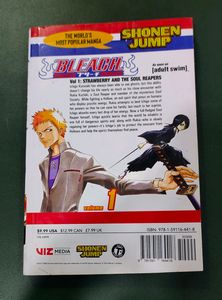Bleach manga vol 1